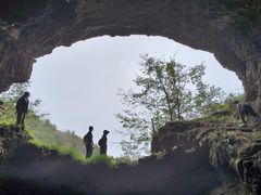 -武陵山森林公园