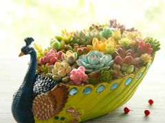 -呷哺呷哺(哈尔滨红博购物广场店)