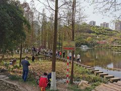 -重庆彩云湖湿地公园