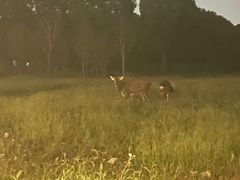 -不觉晓CAMPING(上海迪士尼营地店)