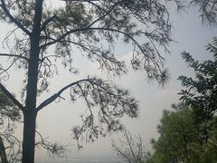 -滴水岩森林公园