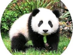 -华辉拉肠(小北路店)