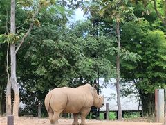 -清迈夜间动物园