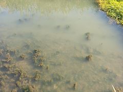 -大小河街