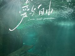 -福州罗源湾海洋世界旅游区