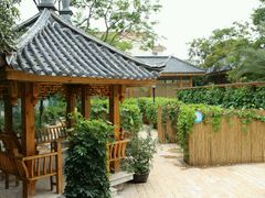 -山大王菌莊