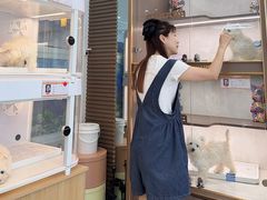 -翊宠yipet猫狗购宠庄园犬舍•猫舍