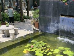 -蘇河湾·新鲁菜·泰山宴(泰山店)