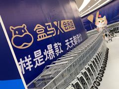 -盒马X会员店(上海森兰商都店)