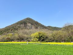 -八卦田遗址公园