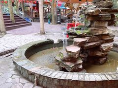 -二荆条·蜀鲜汇城市森林火锅