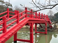 -扬州大运河文化旅游度假区·盆景园