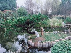 -武汉园博园(武汉自然博物馆)