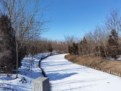-塘沽森林公园