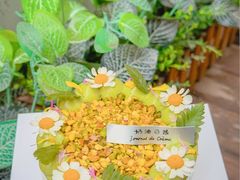 -奶油日报Journal de creme