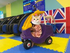 -天沐温泉(抚顺店)