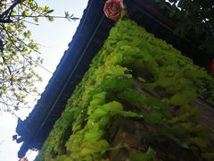 -洛带古镇