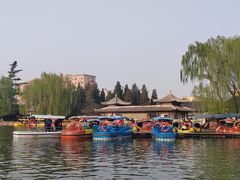 -团结湖公园