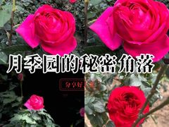 -人民公园(罗湖区)