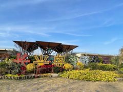 -上海长兴岛郊野公园