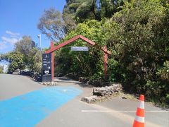 -怀托摩萤火虫洞