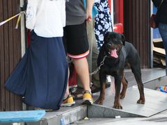 -上海月湖雕塑公园