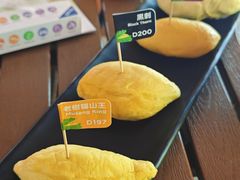 -榴莲BB 四季果园