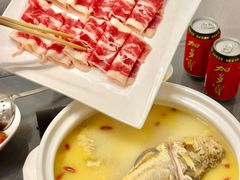 -金龙·打边炉(南京西路店)