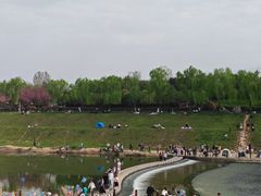 -洨河生态公园