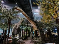 -湖南省地质博物馆