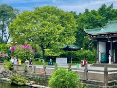 -桂湖森林公园