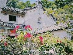 -雁南飞茶田景区