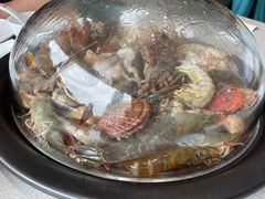 -大锅强·蒸海鲜青岛菜(吾悦广场店)