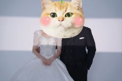 -金夫人婚纱摄影(总店)