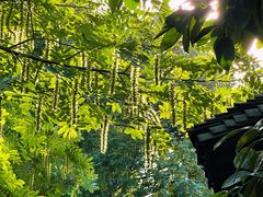 -烟水渔庄餐厅(西溪湿地店)