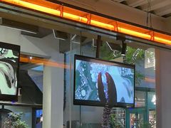 -一棠龙虾•王牌虾球(光谷天地店)