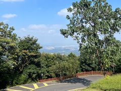 -黄埔油麻山森林公园