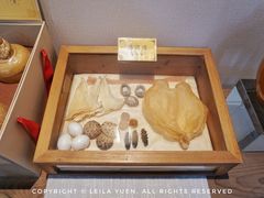 -宣和苑(华侨新村店)