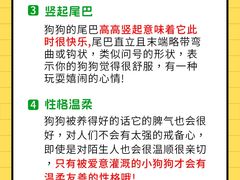 -美联众合动物医院·24h转诊中心