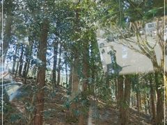 -四明山国家森林公园