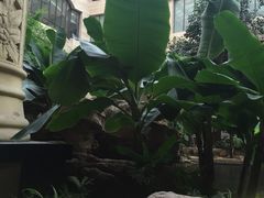 -顺景温泉