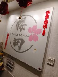 -樱田日式美甲美睫