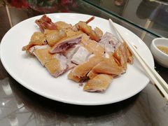 -北海渔村酒楼·粤菜海鲜点心(新华店)