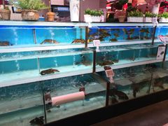 -盒马X会员店(王府井奥莱UP TOWN店)