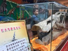 -诸城市恐龙博物馆