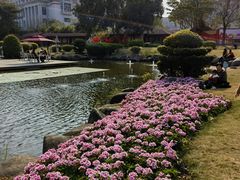 -惠和石文化园