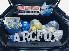 -北汽鹏龙ARCFOX极狐(国贸店)