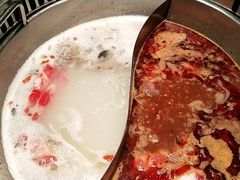 -季季红火锅(动壹店)