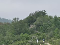 -白草畔自然风景区