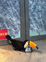-Zoolung Zoolung动物主题公园(海信广场店)